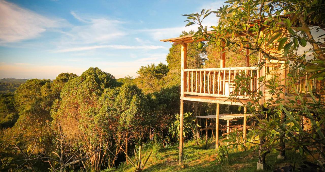 Nanatu Spacious Peaceful In Parque Arvi * Medellin